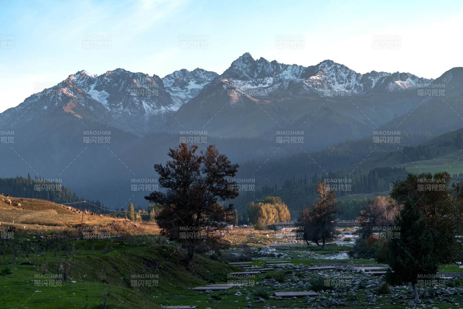 晨曦金光映雪峰静谧河谷秋色与蜿蜒溪流风光图片