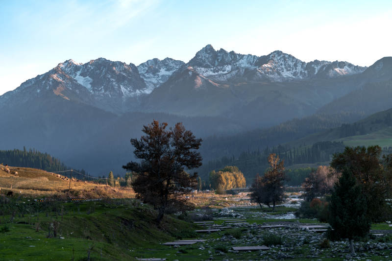 晨曦金光映雪峰静谧河谷秋色与蜿蜒溪流风光图片