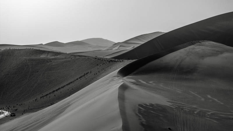 黑白光影质感沙漠沙丘广袤自然景观航拍图片