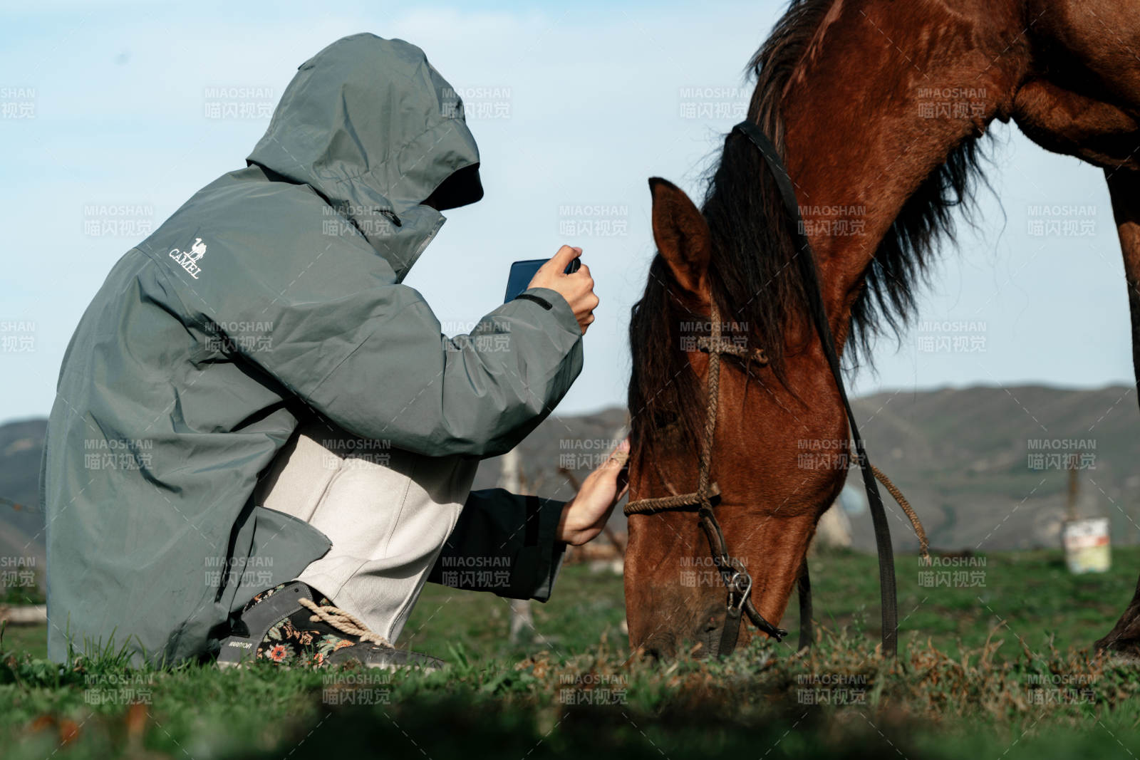 户外身穿冲锋衣在草地蹲下拍照抚摸棕色骏马图片