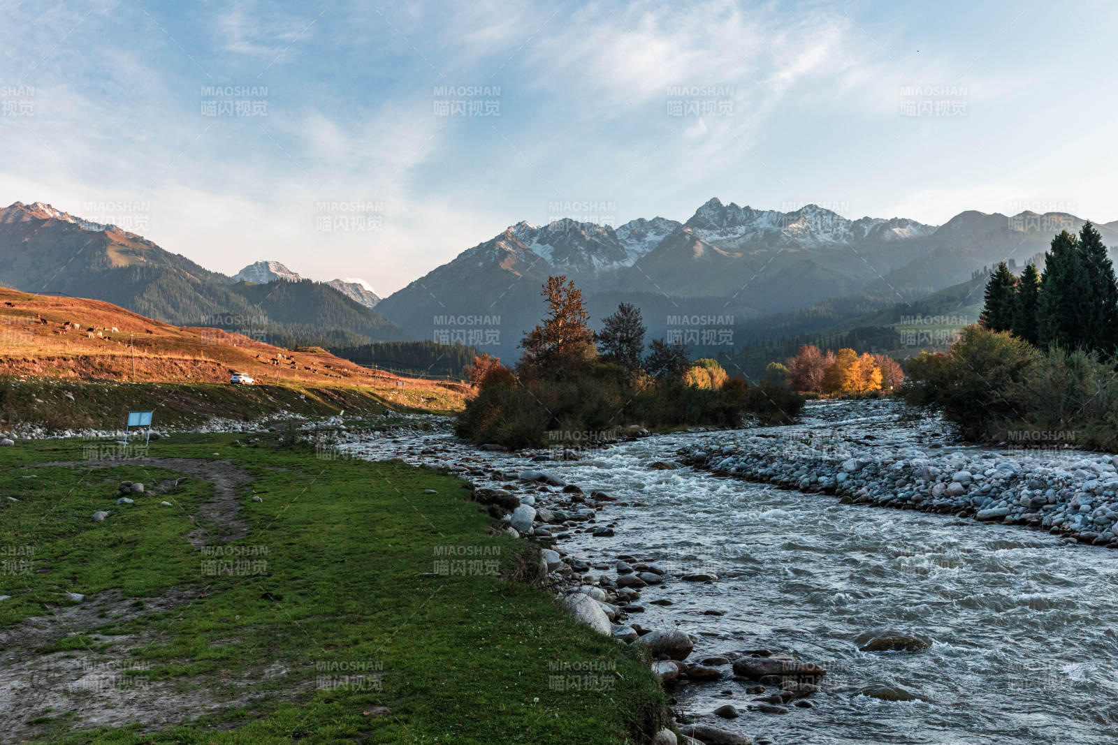 新疆恰西草原雪山脚下山间溪流草甸太阳照耀图片