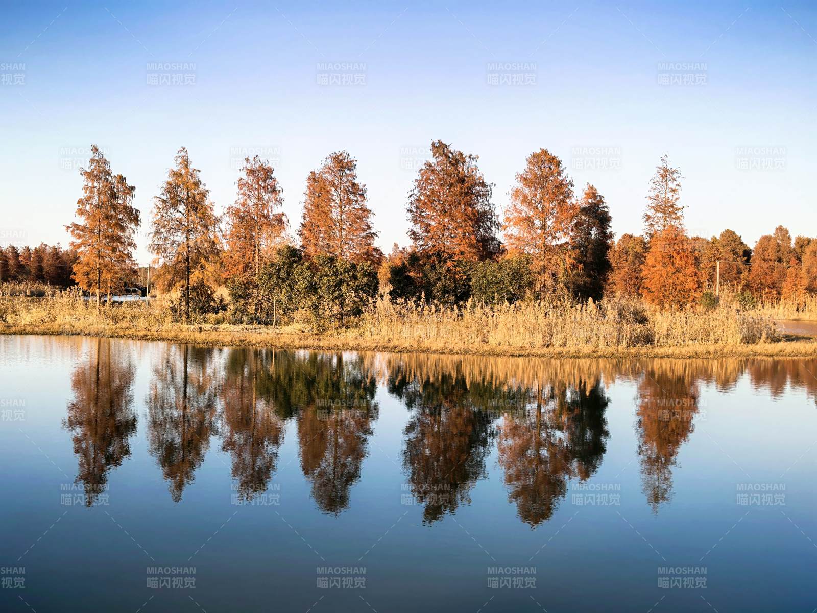 秋湖倒影图片