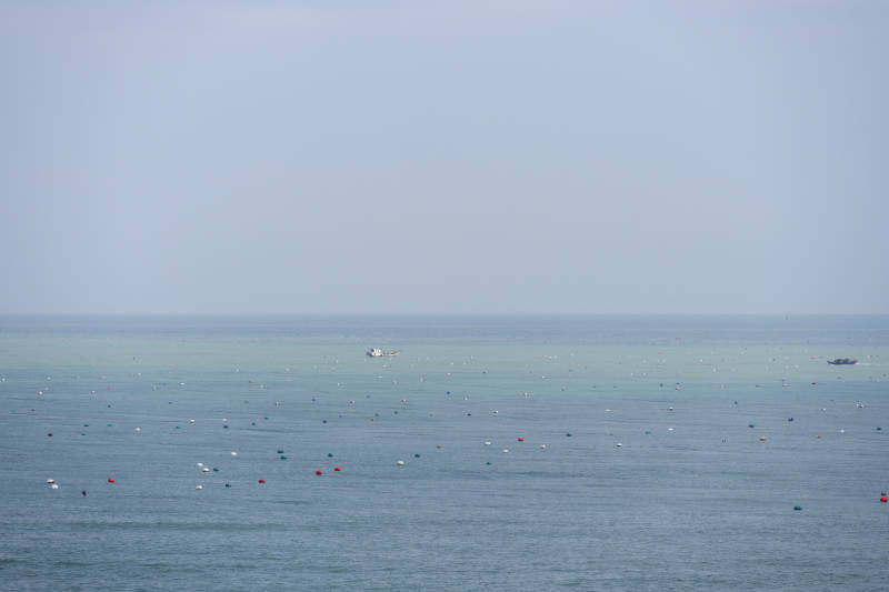 白塘湾海面浮标点点图片