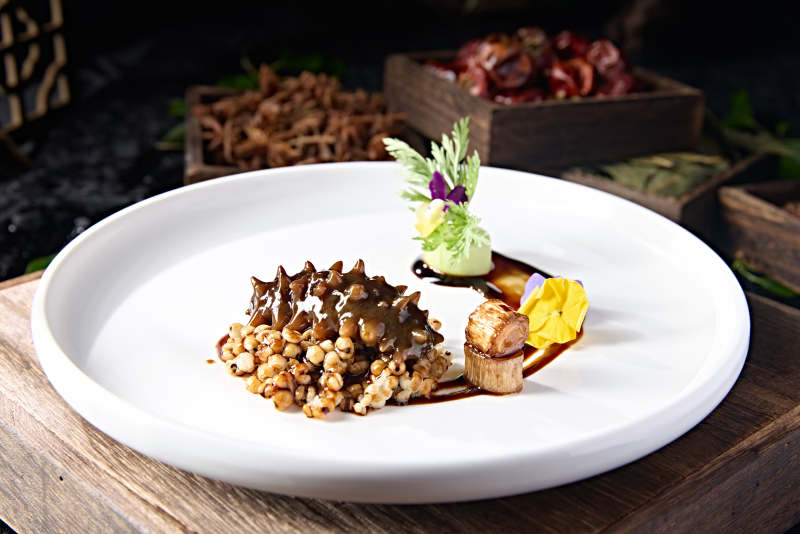 高端美食薏米炖辽参图片