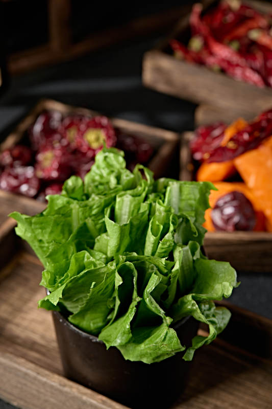 新鲜的油麦菜图片