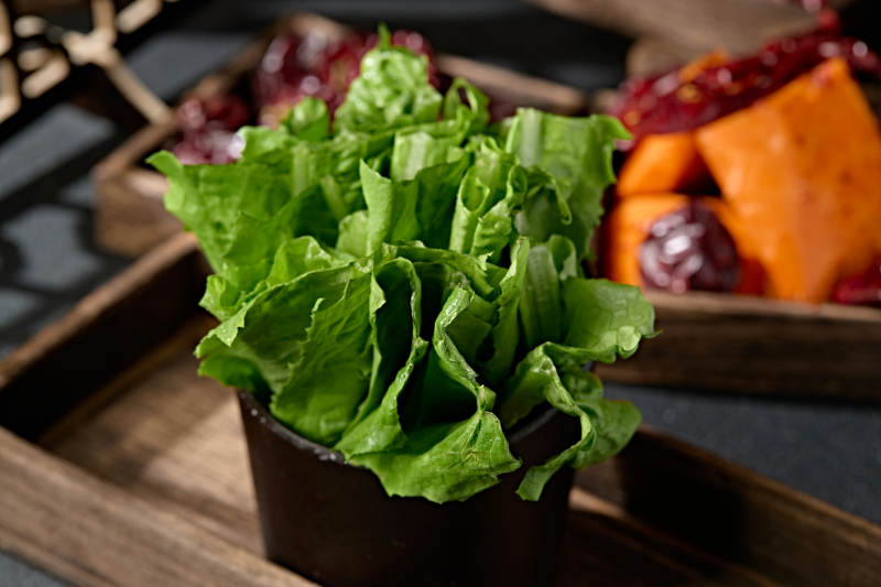 新鲜的油麦菜图片