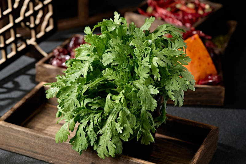 新鲜的火锅食材茼蒿蒿子秆图片