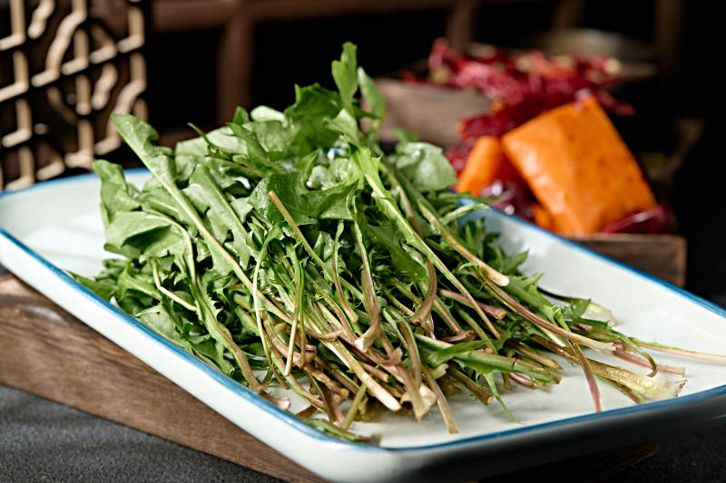 美味野菜蒲公英婆婆丁图片