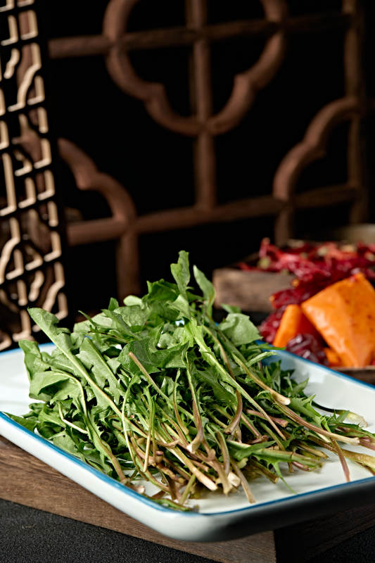 美味野菜蒲公英婆婆丁图片