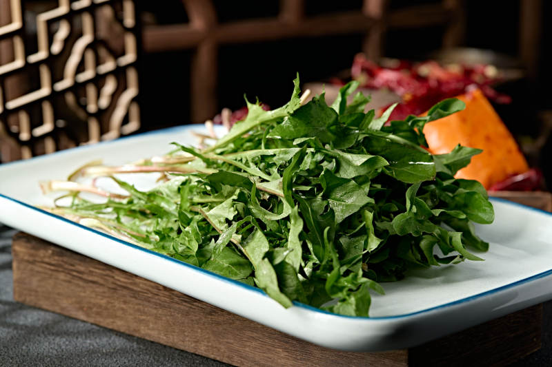 美味野菜蒲公英婆婆丁图片