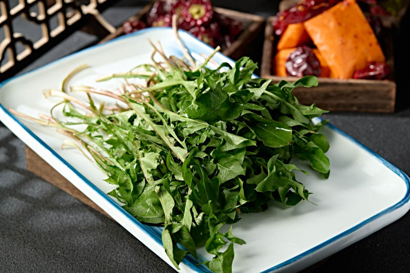 美味野菜蒲公英婆婆丁图片