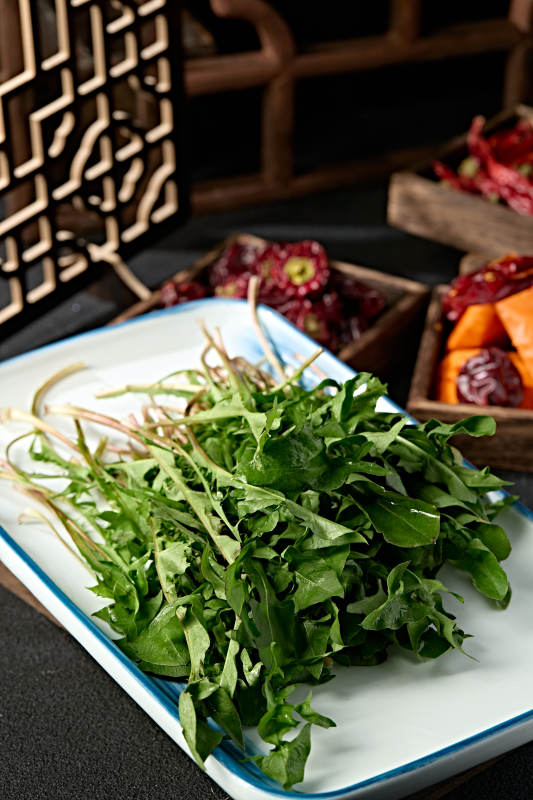 美味野菜蒲公英婆婆丁图片