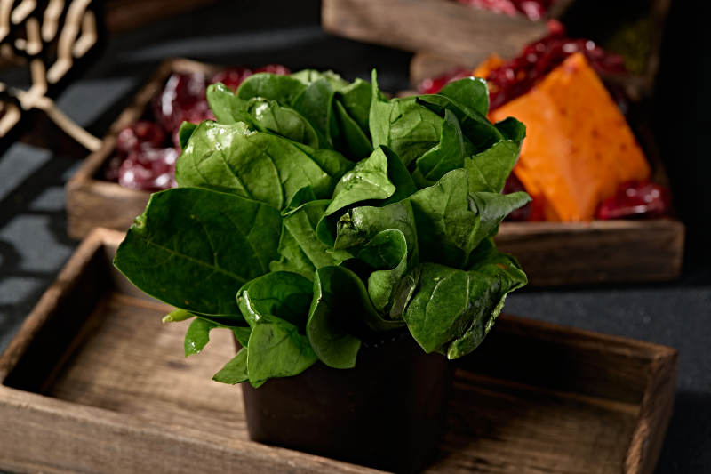 新鲜的火锅食材鲜嫩菠菜图片