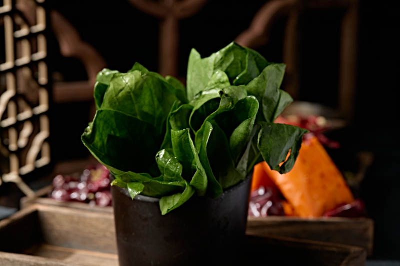 新鲜的火锅食材鲜嫩菠菜图片