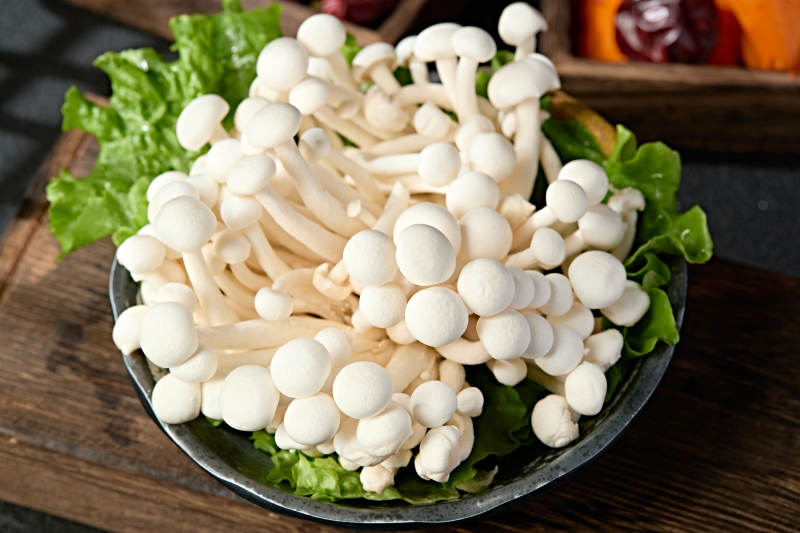 新鲜火锅配菜白玉海鲜菇图片