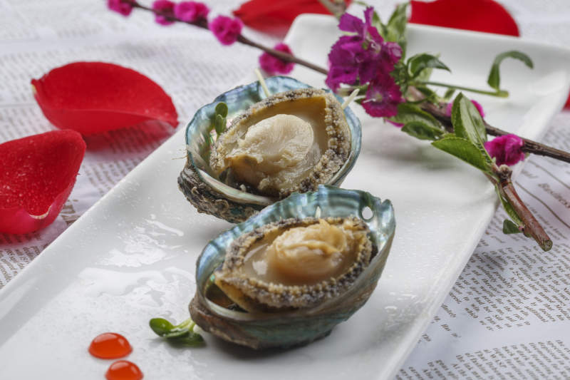 长方形白瓷盘装的海鲜刺身活鲍鱼图片