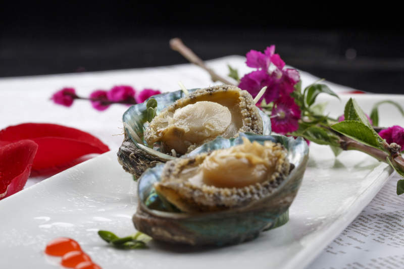 长方形白瓷盘装的海鲜刺身活鲍鱼图片