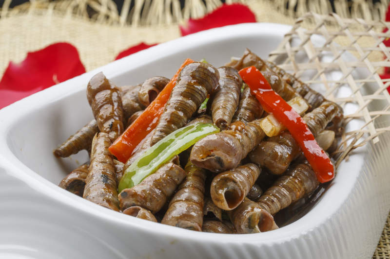 异形白瓷盘装的海鲜辣炒珍螺钉子螺图片