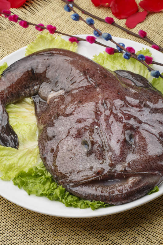 白色椭圆瓷盘装的深海魔鬼鱼图片