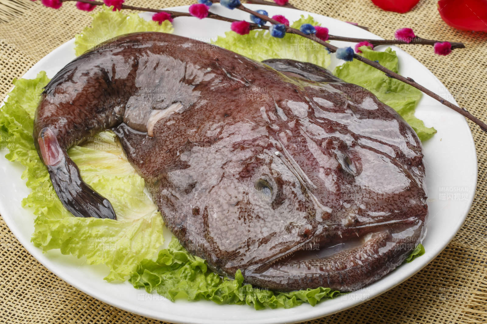 白色椭圆瓷盘装的深海魔鬼鱼图片