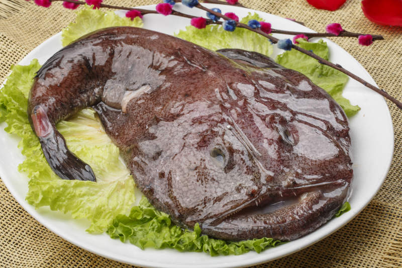 白色椭圆瓷盘装的深海魔鬼鱼图片