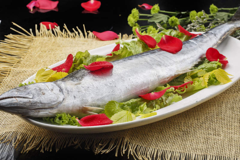 白色椭圆瓷盘装的新鲜马鲛鱼图片