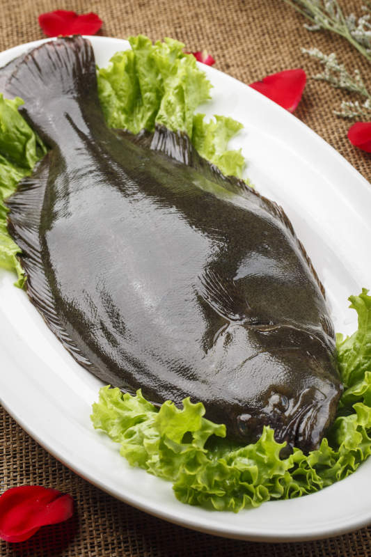 白色椭圆瓷盘装的新鲜黑皮多宝鱼图片