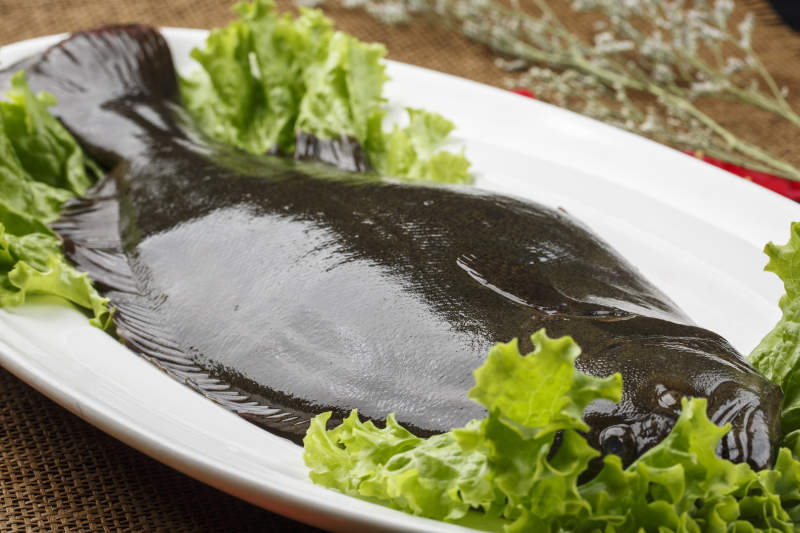 白色椭圆瓷盘装的新鲜黑皮多宝鱼图片