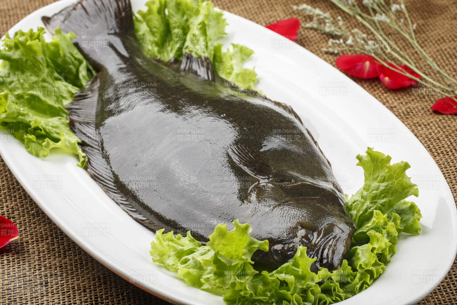 白色椭圆瓷盘装的新鲜黑皮多宝鱼图片