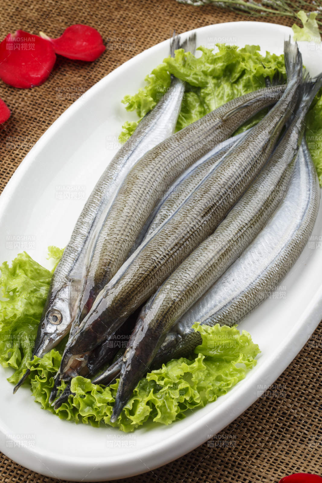 白色瓷盘装的新鲜针鱼图片