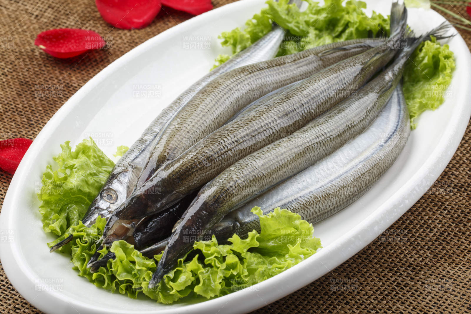 白色瓷盘装的新鲜针鱼图片