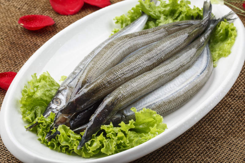 白色瓷盘装的新鲜针鱼图片