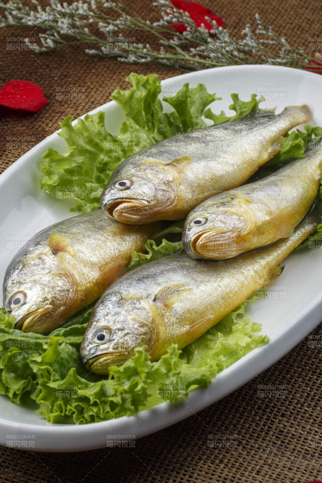 椭圆瓷盘装的小黄鱼黄瓜鱼图片