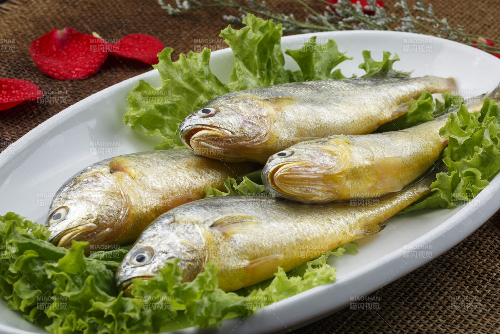 椭圆瓷盘装的小黄鱼黄瓜鱼图片