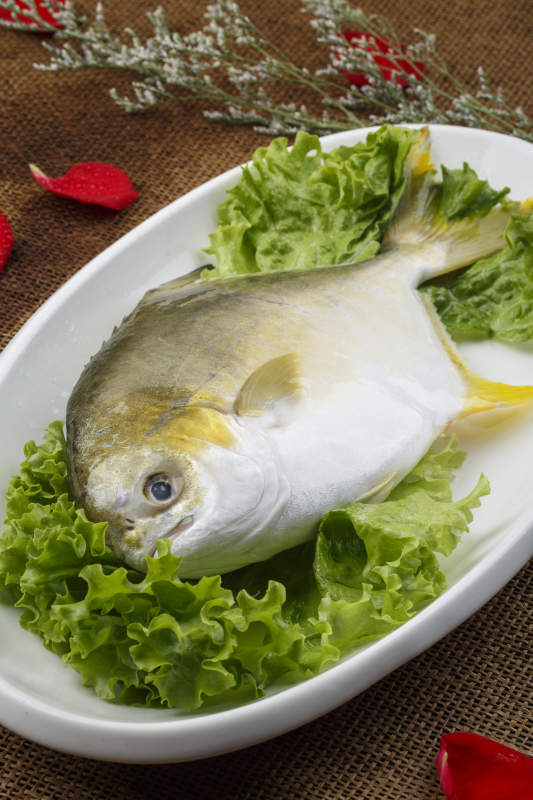 白色椭圆瓷盘装的新鲜金昌鱼图片