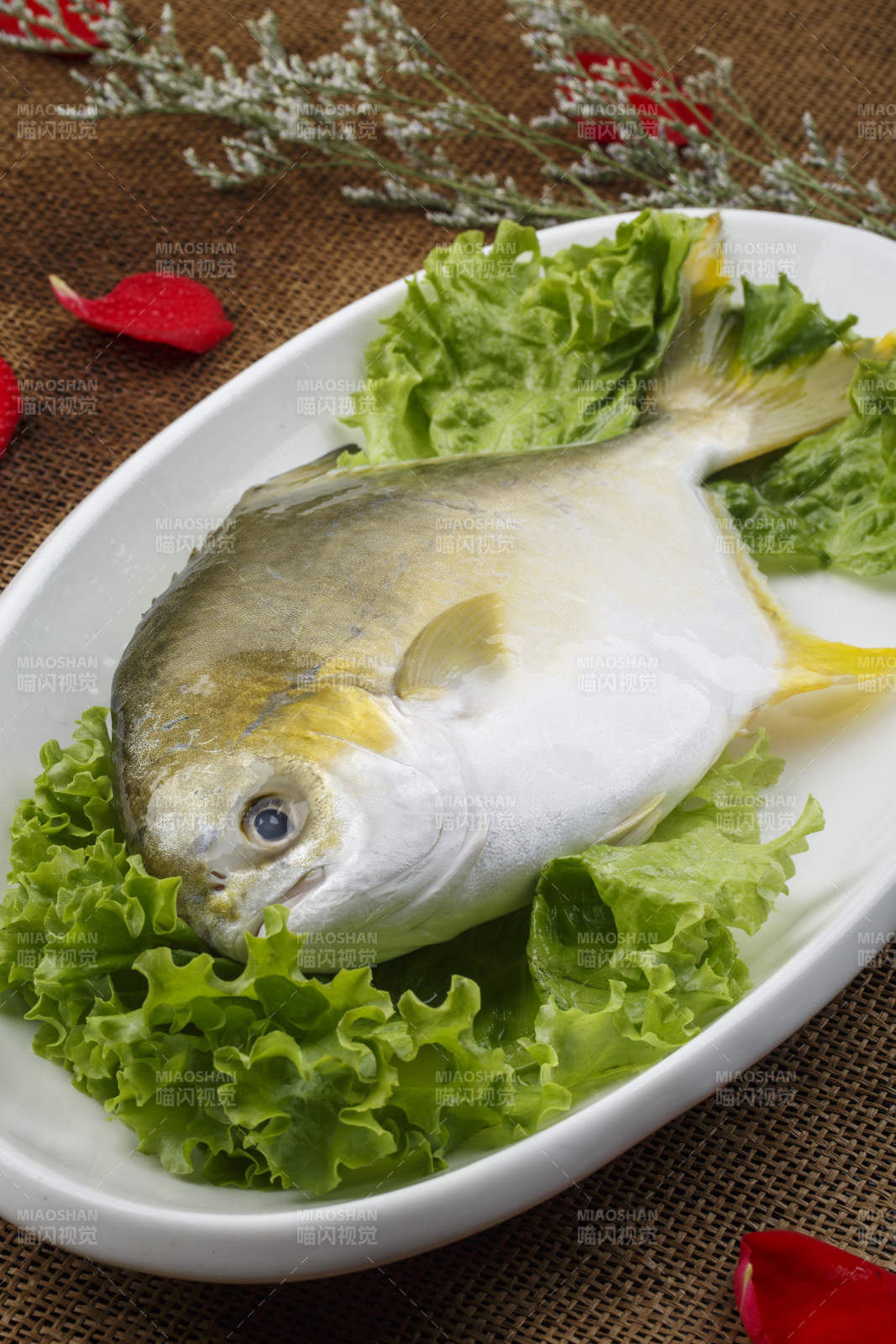 白色椭圆瓷盘装的新鲜金昌鱼图片