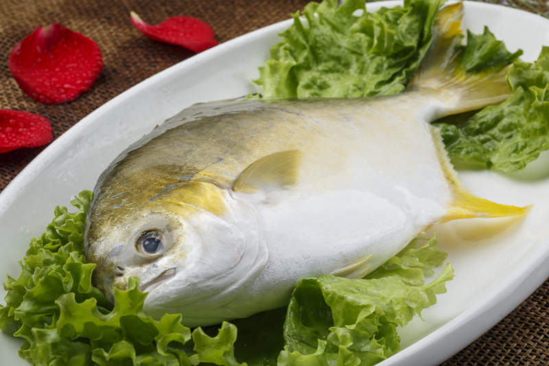 白色椭圆瓷盘装的新鲜金昌鱼图片