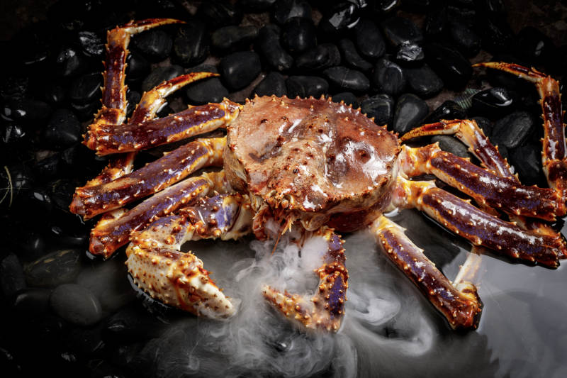 黑色鹅卵石上的深海阿拉斯加帝王蟹图片