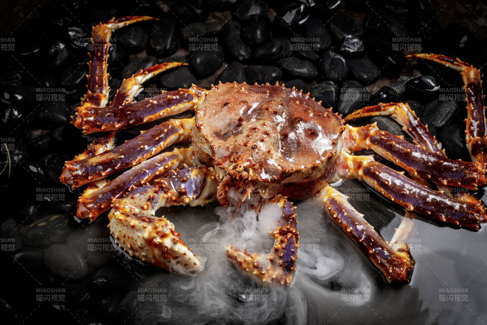 黑色鹅卵石上的深海阿拉斯加帝王蟹图片