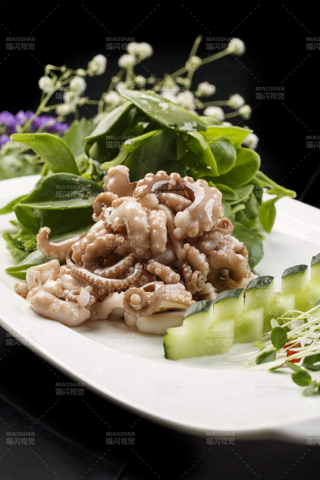 方形白瓷盘装的海鲜穿心莲拌八爪鱼图片