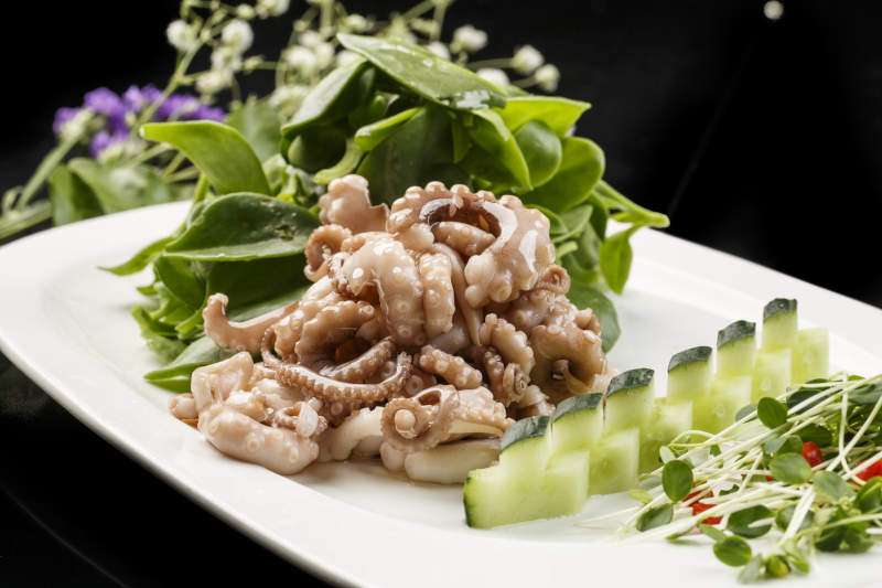 方形白瓷盘装的海鲜穿心莲拌八爪鱼图片