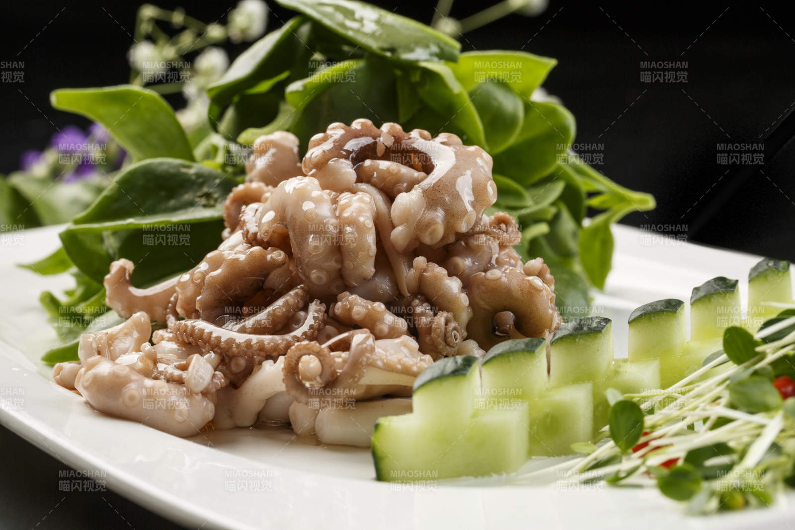 方形白瓷盘装的海鲜穿心莲拌八爪鱼图片