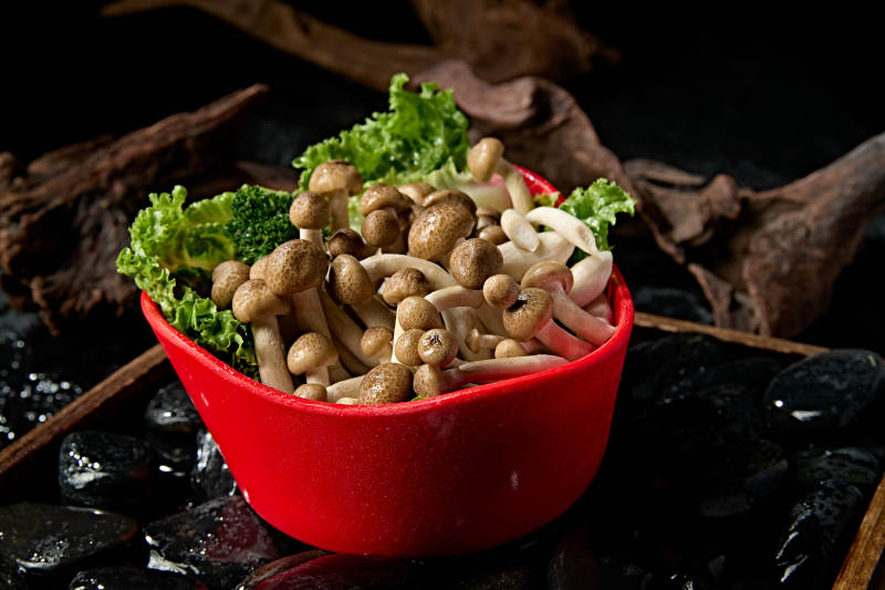 新鲜火锅配菜白玉海鲜菇图片