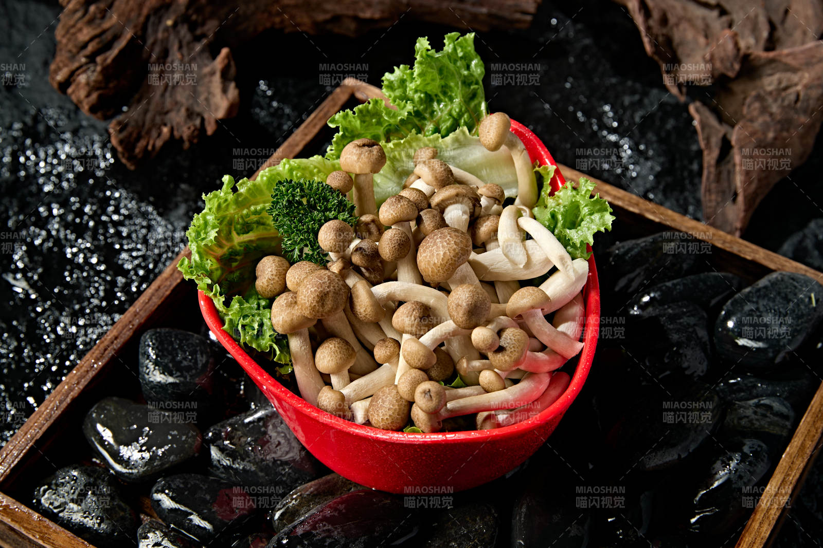 新鲜火锅配菜白玉海鲜菇图片