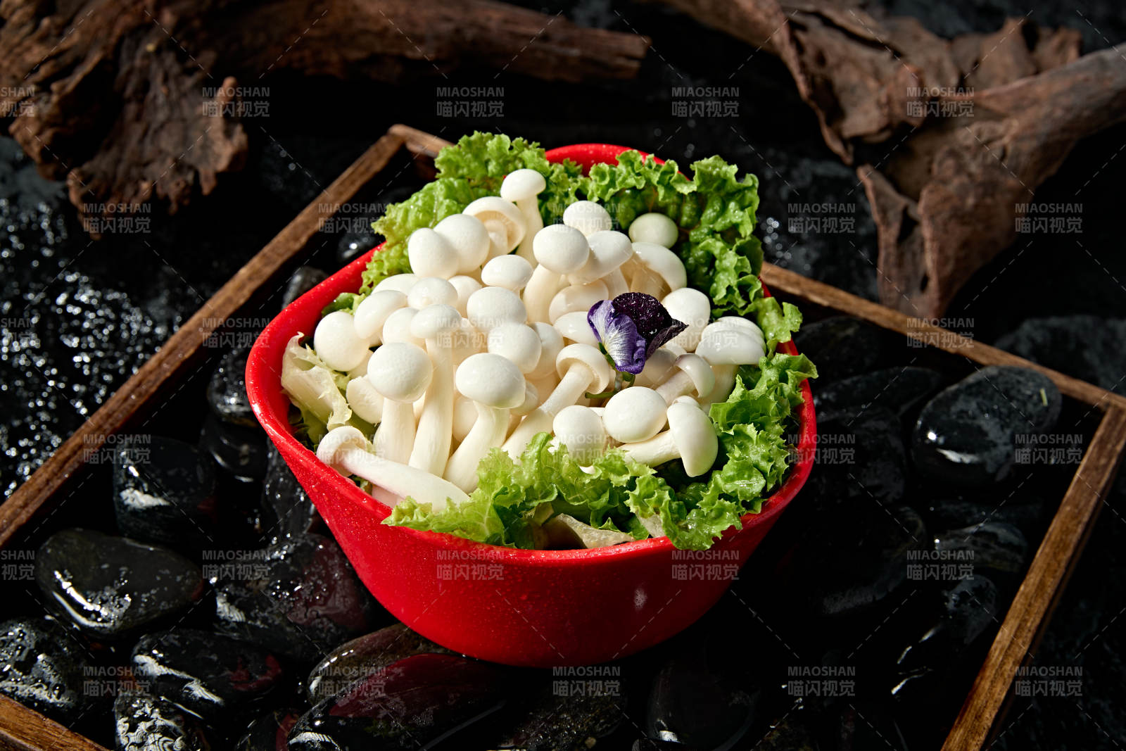 火锅食材白玉蘑菇图片