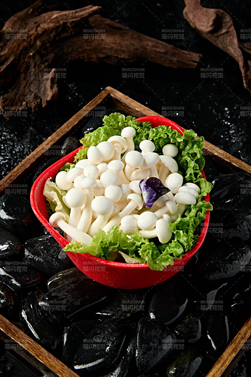 火锅食材白玉蘑菇图片