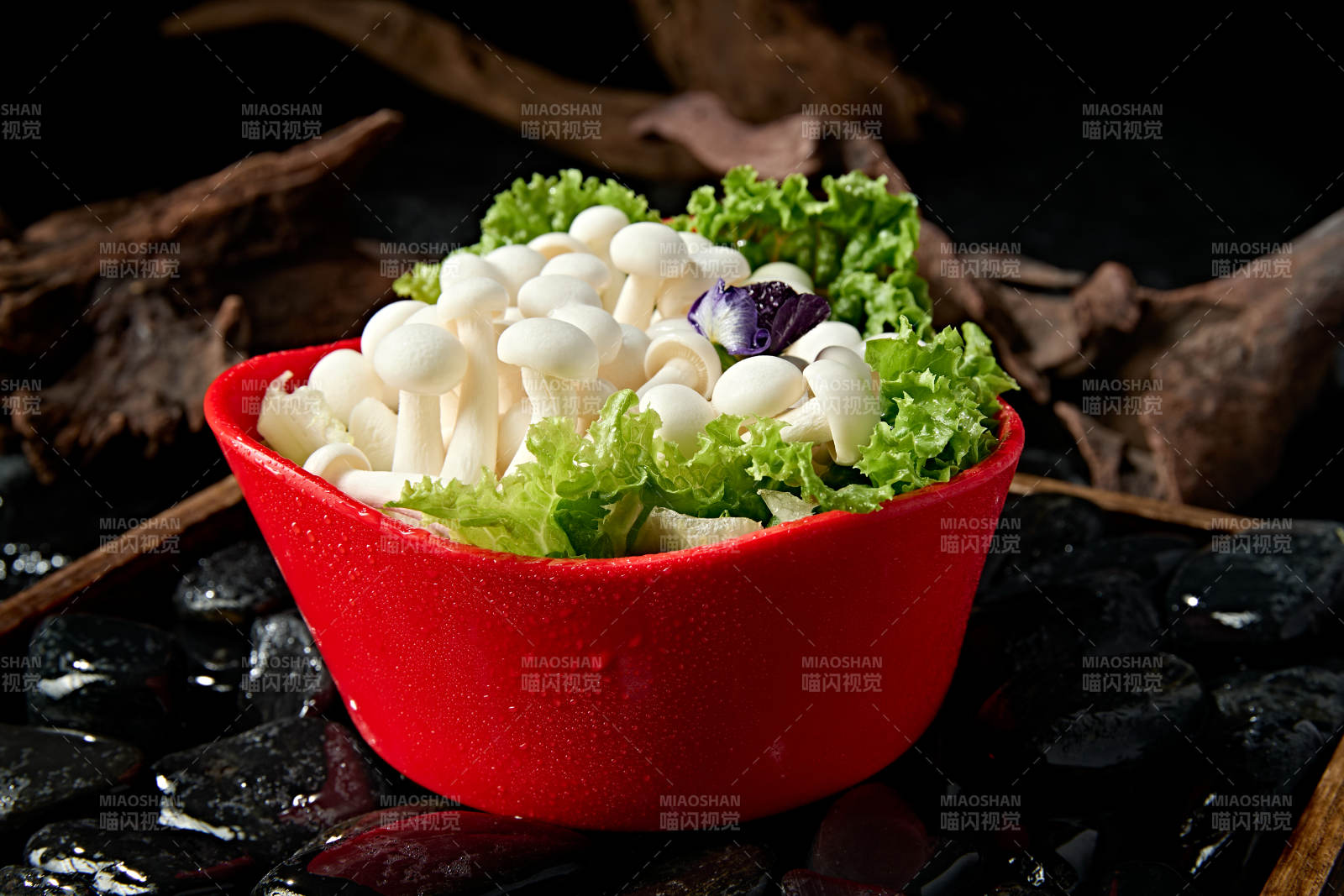 火锅食材白玉蘑菇图片