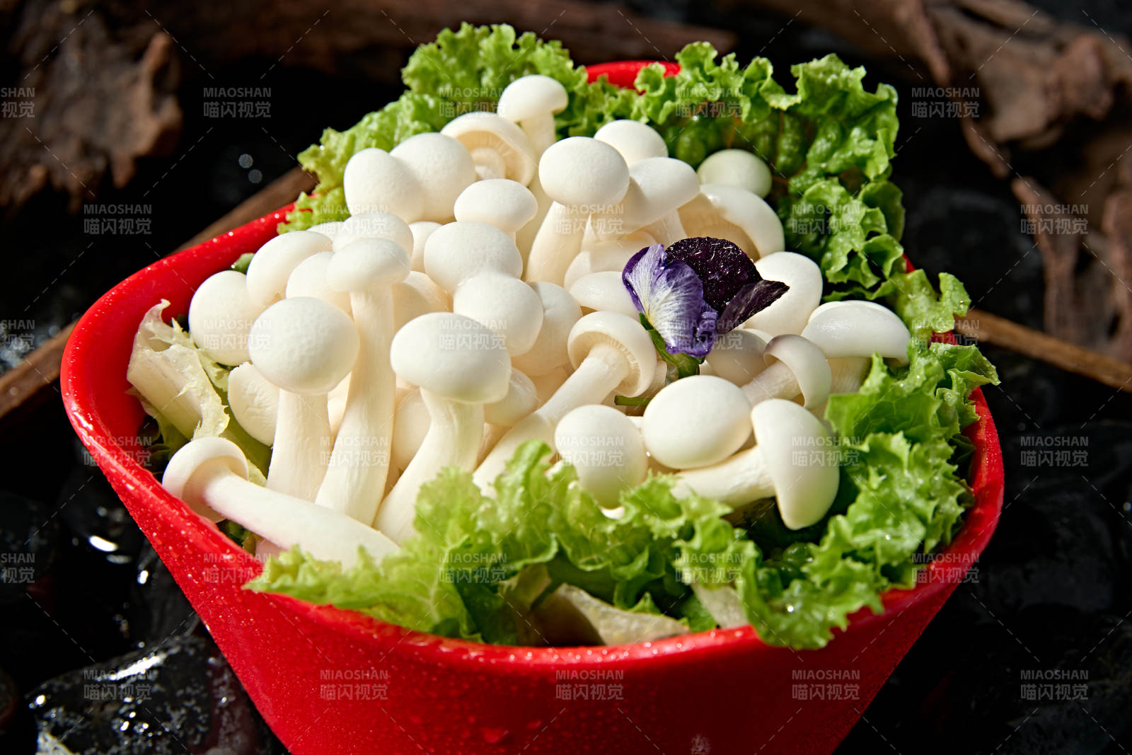 火锅食材白玉蘑菇图片