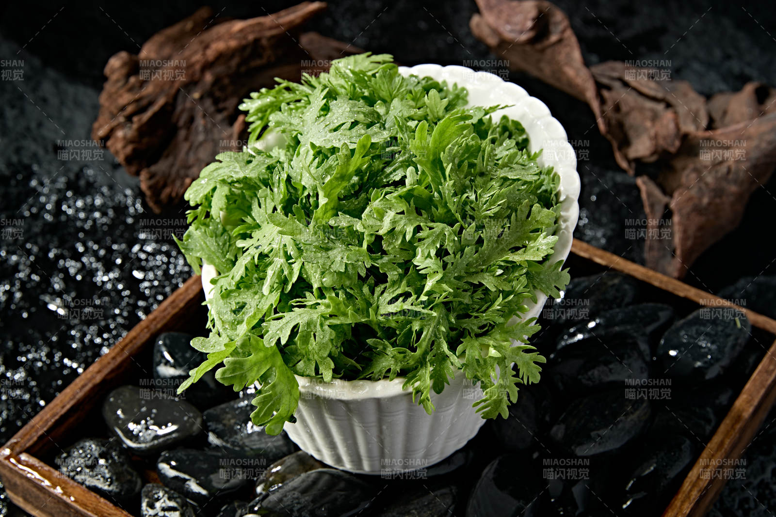 新鲜的火锅食材茼蒿蒿子秆图片