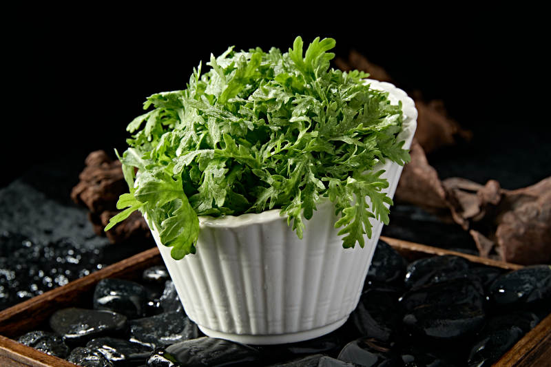 新鲜的火锅食材茼蒿蒿子秆图片